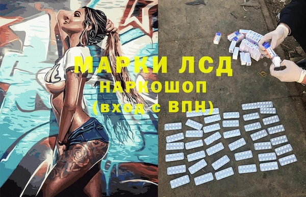 винт Верея