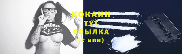винт Верея