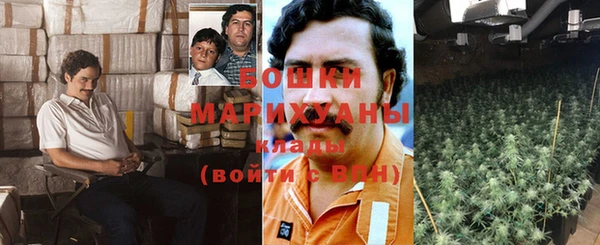 винт Верея