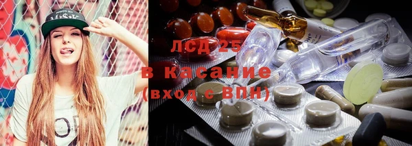 винт Верея