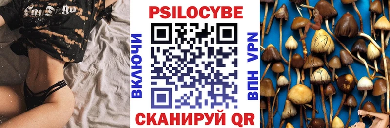Купить  Краснотурьинск  Галлюциногенные грибы GOLDEN TEACHER 